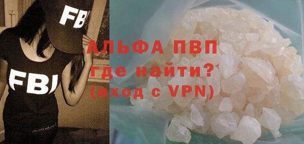 СК Белокуриха