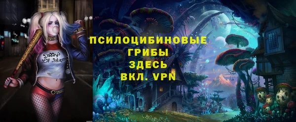 СК Белокуриха