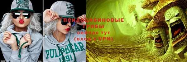 СК Белокуриха