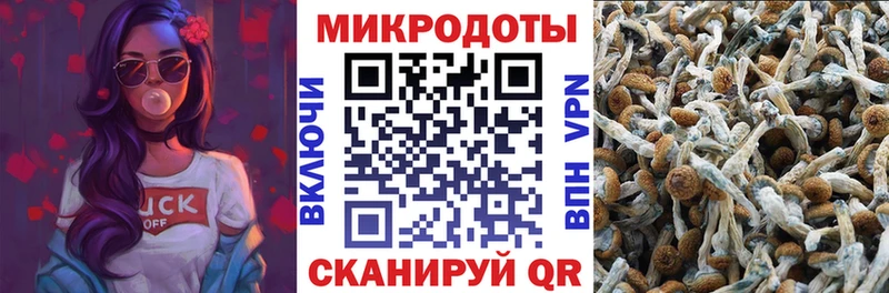 Псилоцибиновые грибы мухоморы  закладка  mega онион  Пересвет 